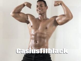 Casiusfitblack