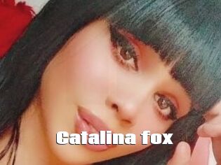 Catalina_fox