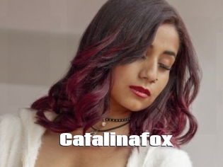 Catalinafox