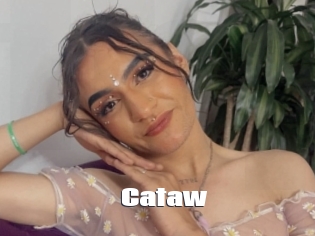 Cataw