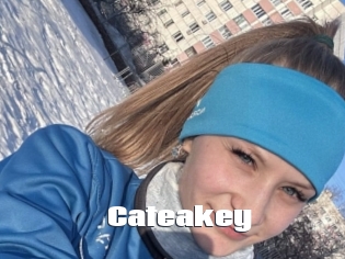 Cateakey