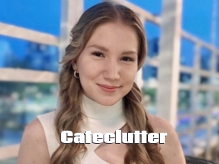 Cateclutter