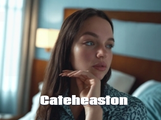 Cateheaston