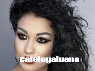 Cateleyaluana