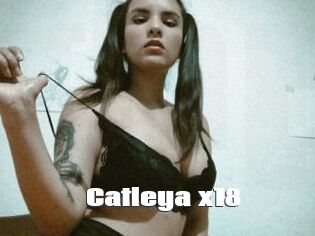 Catleya_x18
