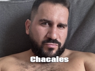 Chacales