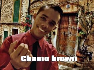 Chamo_brown