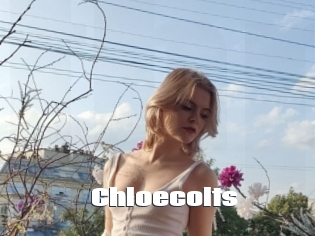 Chloecolts