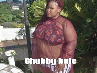 Chubby_bule