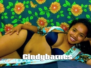 Cindybarnes