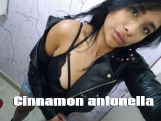 Cinnamon_antonella
