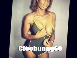 Cleobunny69