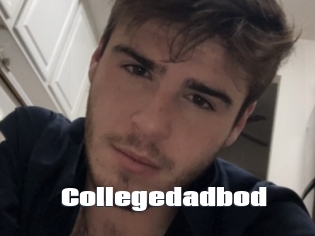 Collegedadbod