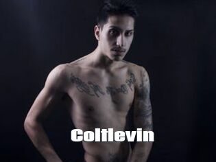 Coltlevin