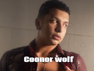 Coonor_wolf