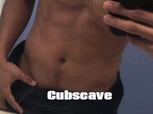 Cubscave