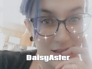 DaisyAster