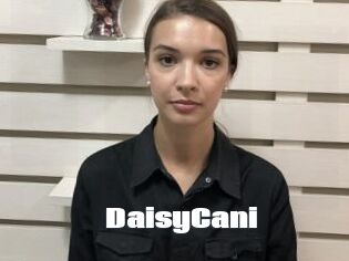 DaisyCani