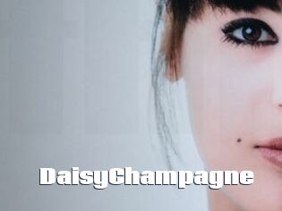 DaisyChampagne