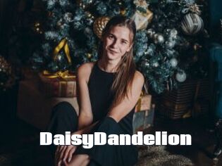 DaisyDandelion