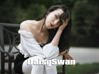 DaisySwan