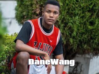 DaneWang