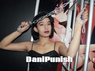 DaniPunish