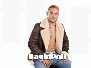 DavidPoll