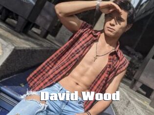 David_Wood