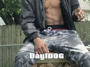 Day1DOG