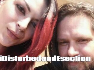 DeziDisturbedandEsection