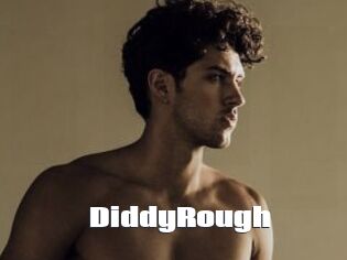 DiddyRough