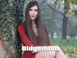 Didgeridoo