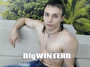 DigWINTERO