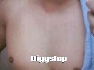 Diggstop