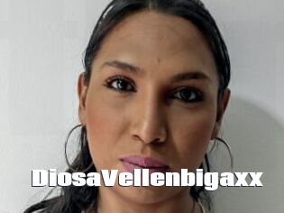 DiosaVellenbigaxx