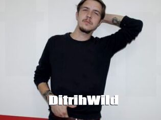 DitrihWild
