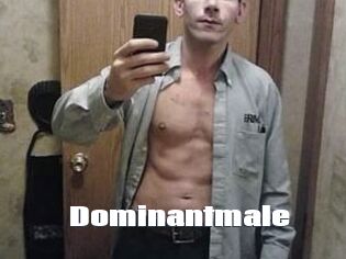 Dominantmale