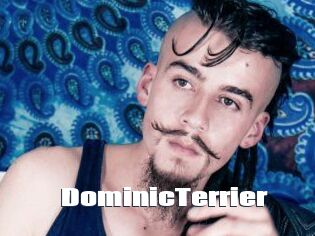 DominicTerrier The hot porn