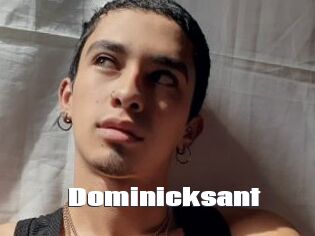 Dominicksant