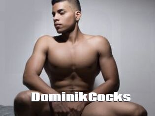 DominikCocks The hot porn