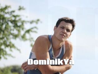 DominikYa