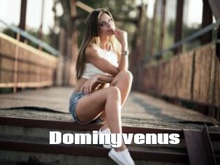 Dominyvenus