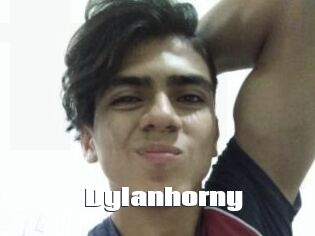 Dylanhorny