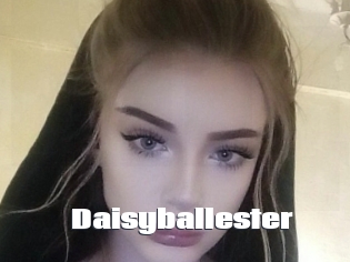 Daisyballester