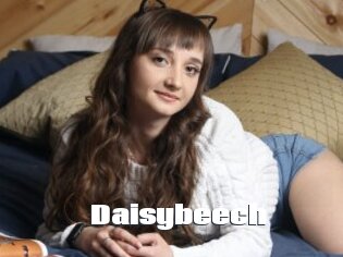 Daisybeech