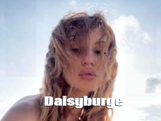 Daisyburge