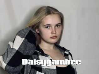 Daisygambee