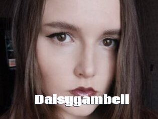 Daisygambell