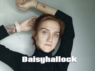 Daisyhallock